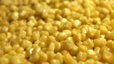 Canned corn kernels. Video stock 102965493