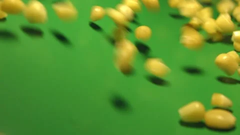 Canned corn kernels on green background. Slow motion. Stockbeeldmateriaal 102771471