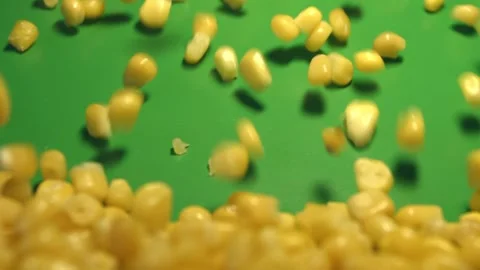 Canned corn kernels on green background. Slow motion. Clouse-up. Stock Footage 102771665