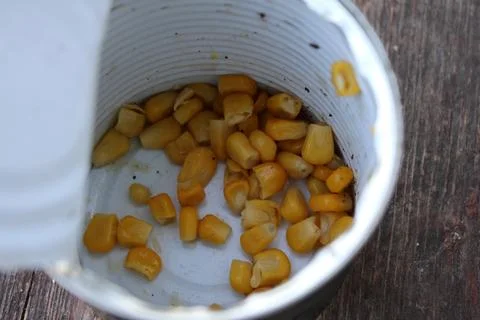 Canned Corn Kernels in Open Tin on Wooden Surface Stock Photos