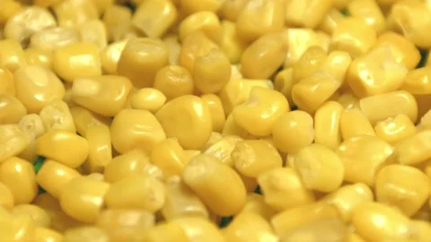 Canned corn kernels. Slow motion. Видео 102771584