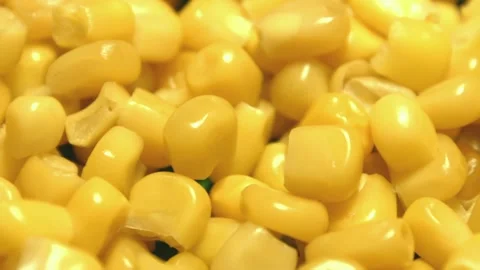 Canned corn kernels. Slow motion. Stock Footage 102771590