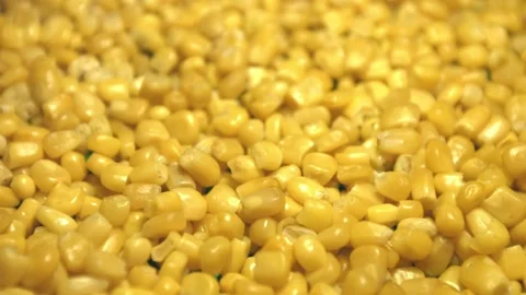 Canned corn kernels. Slow motion. Видео 102771640