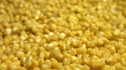 Canned corn kernels. Slow motion. Stock Footage 102965418