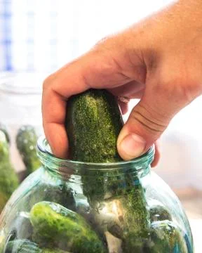 Canned cucumbers Stock Photos