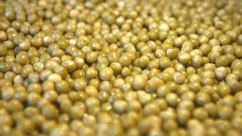 Canned green peas. Stock Footage 77670449