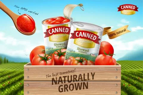 Canned tomato ads Stock Illustration