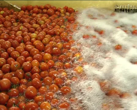 Canned vegetables Stock-Footage 12289457