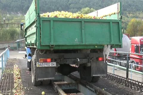 Canned vegetables Stock-Footage 12289469