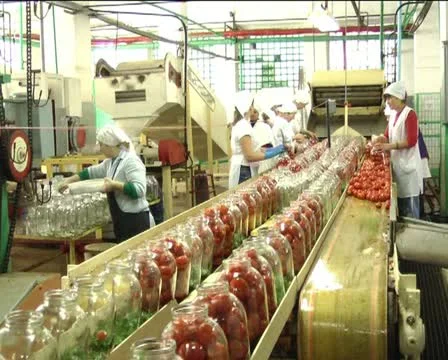 Canned vegetables Stock Footage 12289490