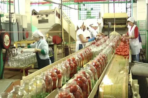 Canned vegetables Stock-Footage 12289494