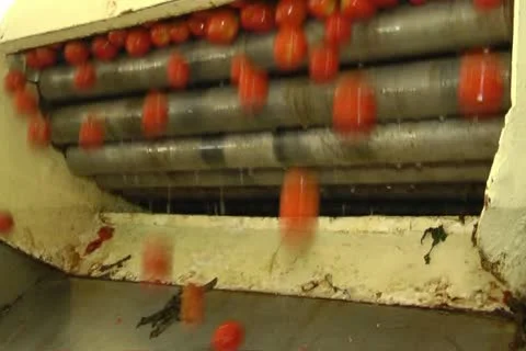 Canned vegetables Stockbeeldmateriaal 12289497