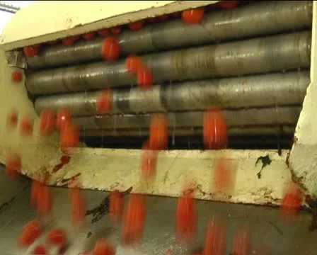 Canned vegetables Stock Footage 12289498