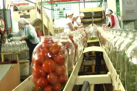 Canned vegetables Stock Footage 12289504