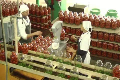 Canned vegetables Stock Footage 12289509