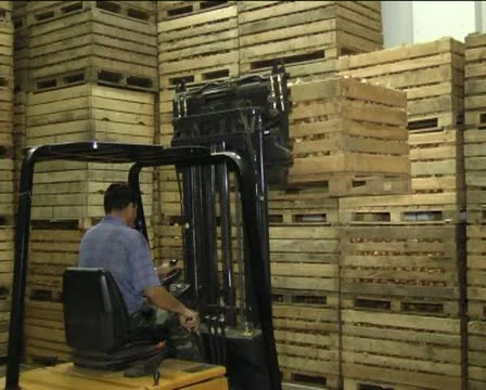 Canned vegetables 스톡 동영상 12289519