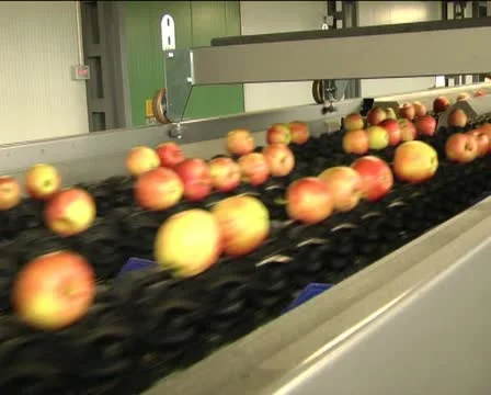 Canned vegetables Stock Footage 12351598