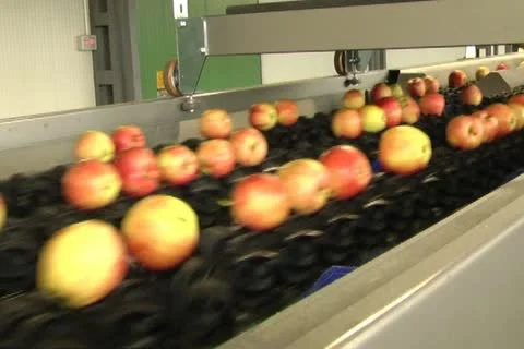 Canned vegetables Stock Footage 12351600