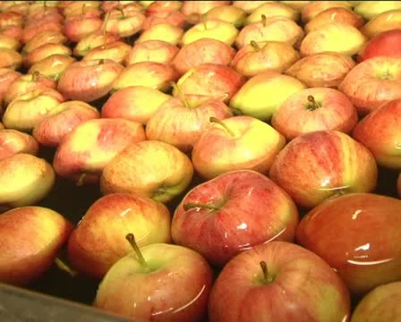 Canned vegetables Stockbeeldmateriaal 12351601
