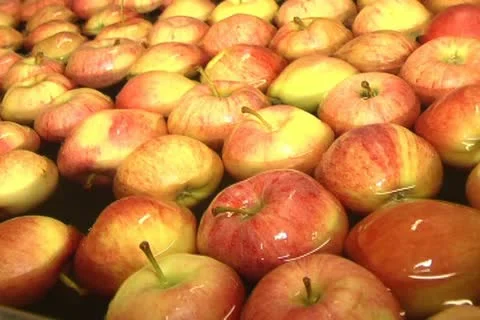 Canned vegetables Stock Footage 12351605