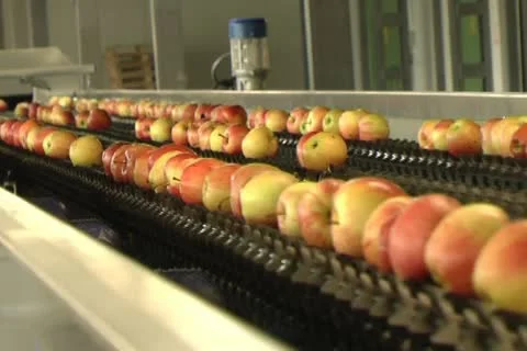 Canned vegetables Stock Footage 12351610