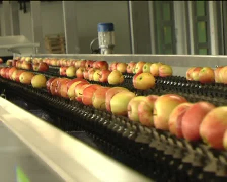 Canned vegetables Stock Footage 12351615