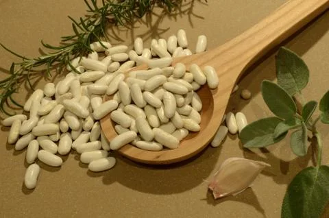 Cannellini beans 写真素材