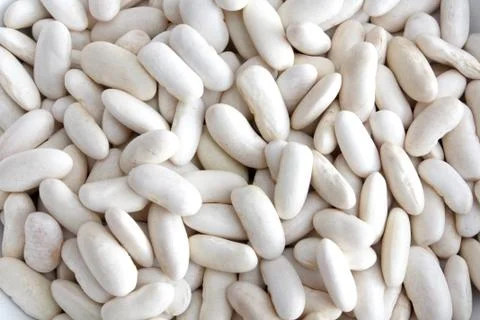 Cannellini Stock Photos