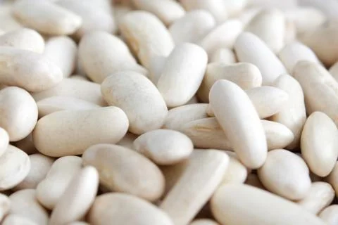 Cannellini Stock Photos