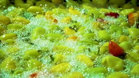 Cannery. Pepper on a conveyor. Technological processes of canning. Washing Stock Footage 165837511