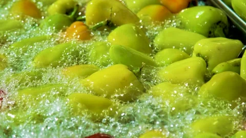Cannery. Pepper on a conveyor. Technological processes of canning. Washing Stock Footage 165838078