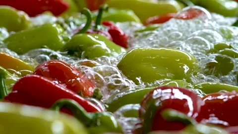 Cannery. Pepper on a conveyor. Technological processes of canning. Washing Stock Footage 165839226