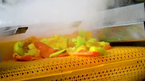 Cannery. Pepper on a conveyor. Technological processes of canning. Washing Stock Footage 165840108