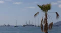 Cannes Harbour Port French Riviera Cote d'Azur Luxury Yachts Cruise Ships Boats HD Footage