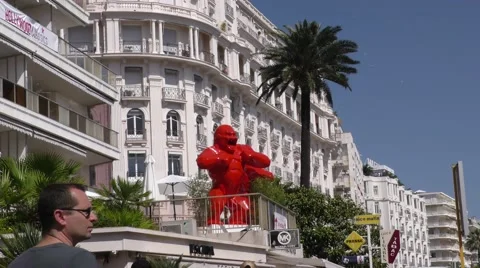 Cannes Miramar Gorilla Stock Footage 54633454