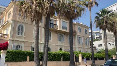 Cannes Palm Trees Stock Footage 197127341