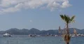 Cannes Port French Riviera with Luxury Yachts in Mediterranean Sea Palm Tree Day 4k or 4k+ Resolution
