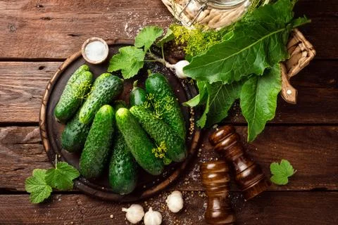 Canning cucumbers Stock Photos