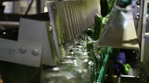 Canning factory. Video stock 202896380