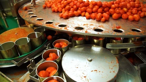 Canning Factory . The Line for Processing Tomatoes. Peeled Tomatoes in a Tin Can Stock Footage 95144250