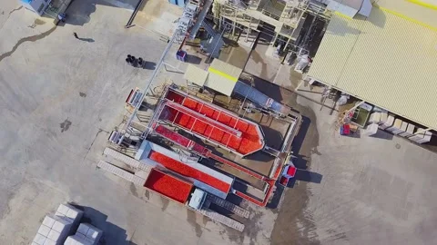 Canning factory. Production of tomato paste and canned vegetable products Stock Footage 95080307