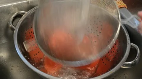 Canning Peeling Tomatoes Vidéo 20495899