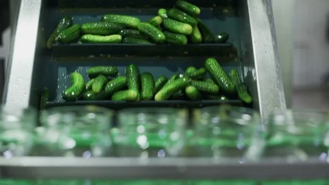 Canning plant. Automatic line for processing vegetables. Canned cucumbers. Glass Stock Footage 129264279