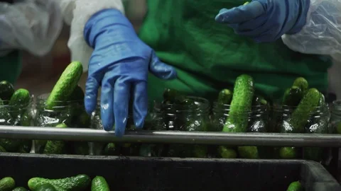 Canning plant. Automatic line for processing vegetables. Canned cucumbers. Glass Stock Footage 129264393