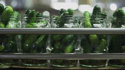 Canning plant. Automatic line for processing vegetables. Canned cucumbers. Glass Stock Footage 129264491