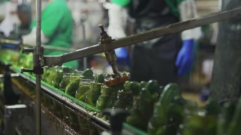 Canning plant. Automatic line for processing vegetables. Canned cucumbers. Glass Stock Footage 129264594