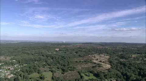 Cannock Chase Stock Footage 65200620