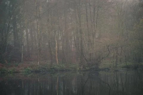 Cannock Chase Stock Photos