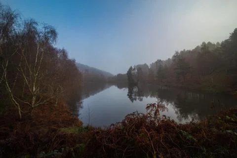 Cannock Chase Stock Photos