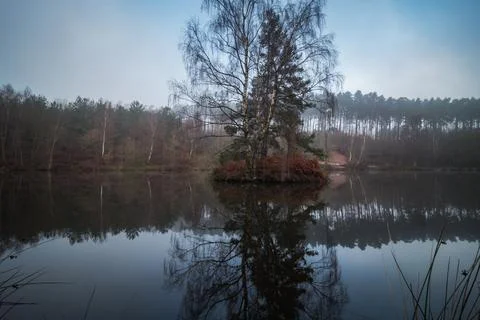 Cannock Chase Stock Photos
